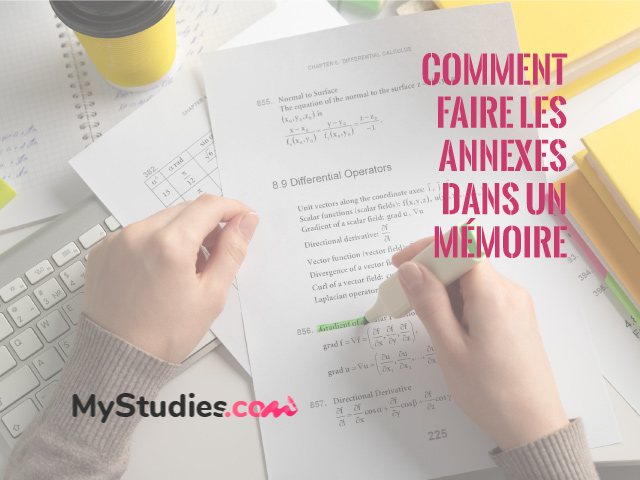 Comment faire les Annexes dans un mémoire ? - Astuces